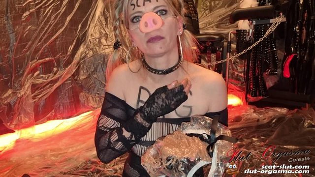 Extreme disgusting scat pig shitting puking swallowing thumbnail