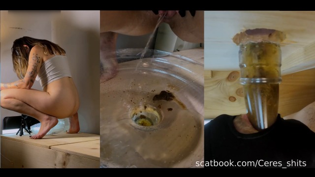 Toilet Slave Training thumbnail